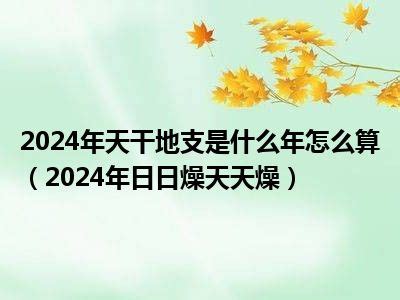 2024年 天干